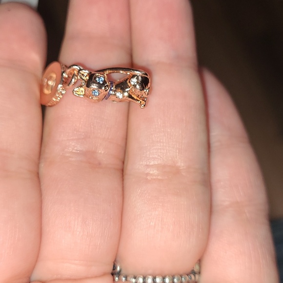 Golden Cat - Picture 10 of 10